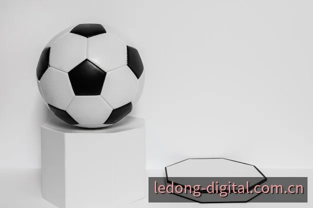乐动合规信息与数字安全说明